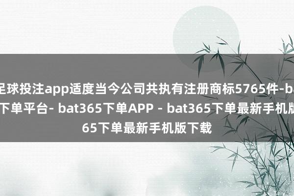 足球投注app适度当今公司共执有注册商标5765件-bat365下单平台- bat365下单APP - bat365下单最新手机版下载