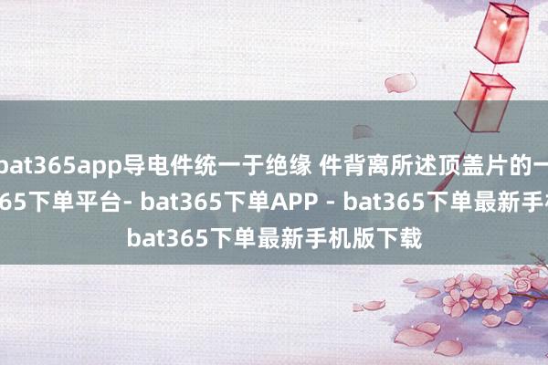 bat365app导电件统一于绝缘 件背离所述顶盖片的一侧-bat365下单平台- bat365下单APP - bat365下单最新手机版下载