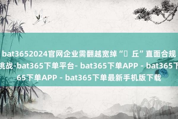 bat3652024官网企业需翻越宽绰“⼭丘”直面合规转型、法则突破等挑战-bat365下单平台- bat365下单APP - bat365下单最新手机版下载