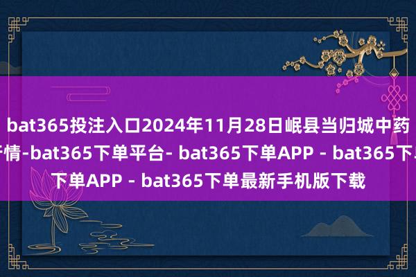 bat365投注入口2024年11月28日岷县当归城中药材交游商场价钱行情-bat365下单平台- bat365下单APP - bat365下单最新手机版下载
