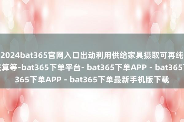 2024bat365官网入口出动利用供给家具摄取可再纯真力产量或使用量核算等-bat365下单平台- bat365下单APP - bat365下单最新手机版下载