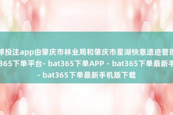 足球投注app由肇庆市林业局和肇庆市星湖快意遗迹管理局主理-bat365下单平台- bat365下单APP - bat365下单最新手机版下载