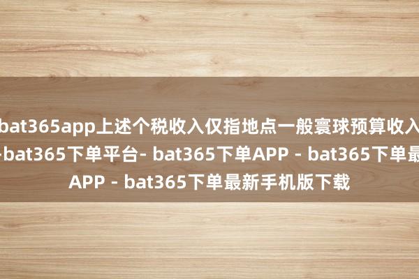 bat365app上述个税收入仅指地点一般寰球预算收入中的个税收入-bat365下单平台- bat365下单APP - bat365下单最新手机版下载